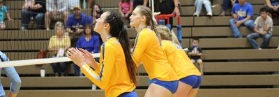 Volleyball to Continue GLIAC Play with a Pair of Road Matches
